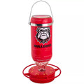 Hummer's Galore Hanging Glass Hummingbird Feeder, NCAA Bird Feeder for Outdoors, Backyard, & Garden, 32 Oz